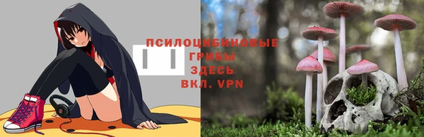 стафф Карпинск