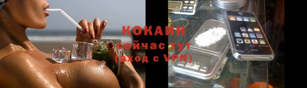 стафф Карпинск