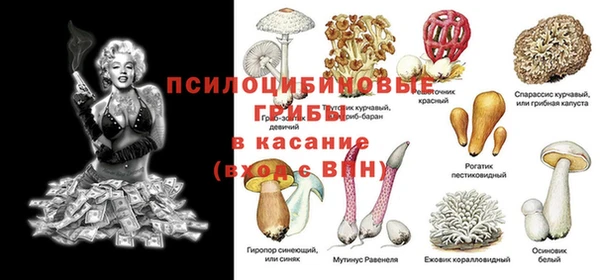 стафф Карпинск